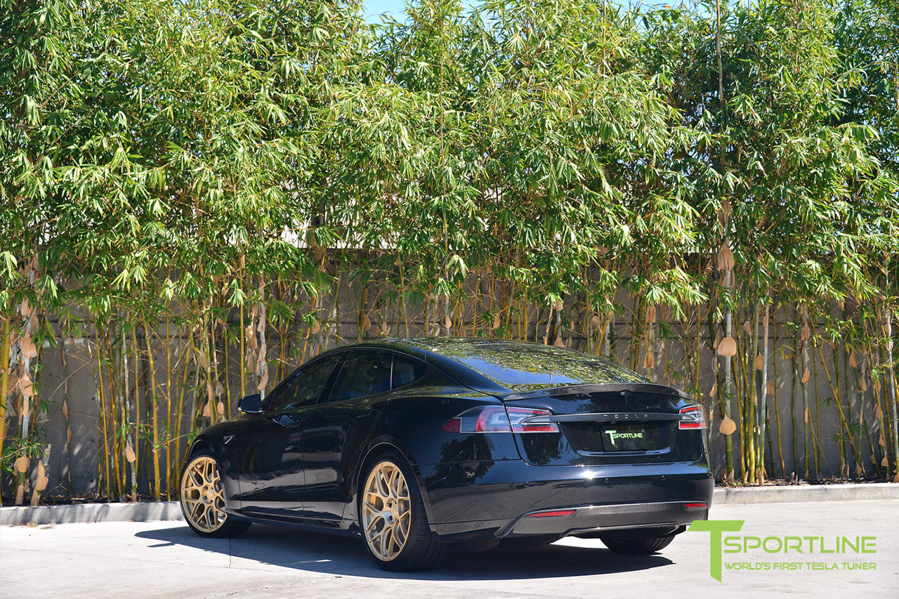 Black Tesla Model S 1.0 with Ghost Gold 21 inch TS117 Forged Wheels