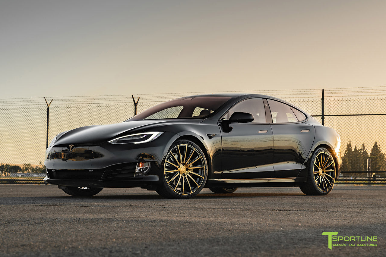 Goldfinger: Tesla Model S Performance