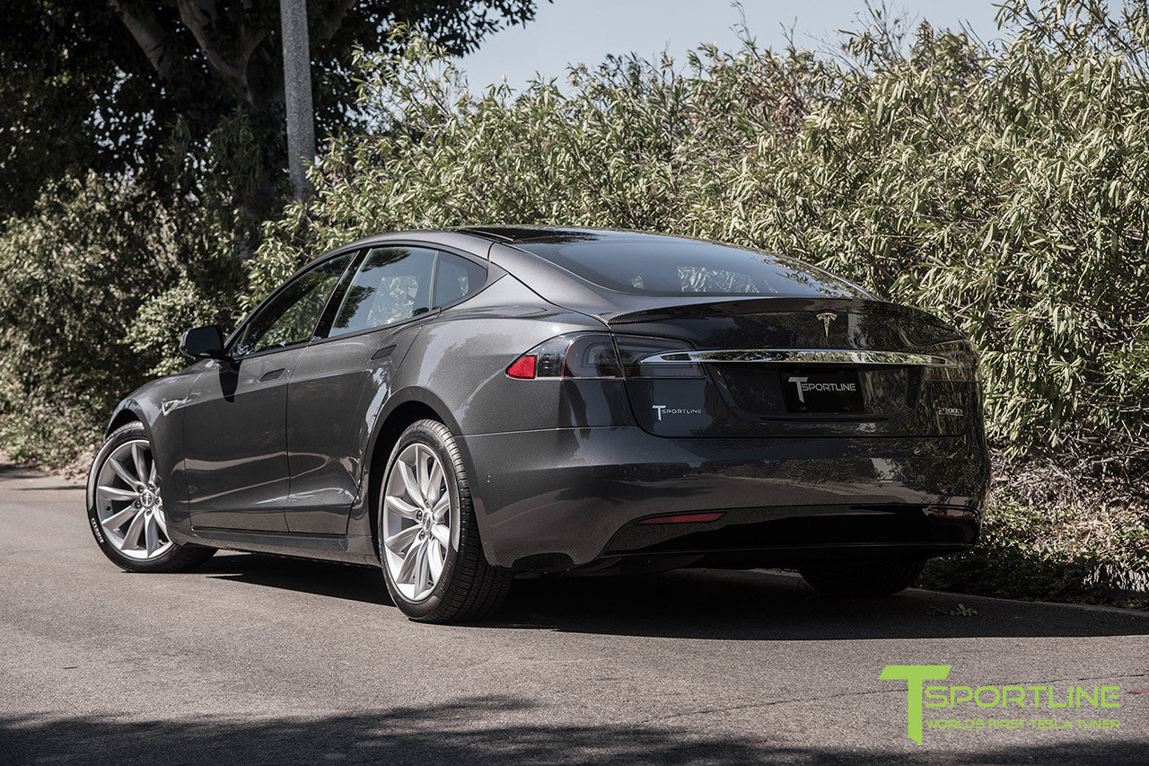 Midnight Silver Metallic Model S 2.0 with 19" TST Tesla Wheel in Brilliant Silver