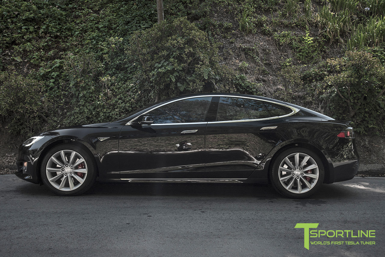 Obsidian Black Model S 2.0 with 19" TST Tesla Wheel in Brilliant Silver