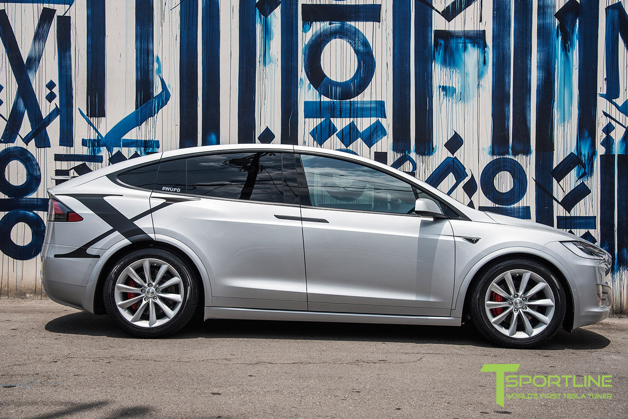 Silver Model X with 20" TST Tesla Wheel in Brilliant Silver