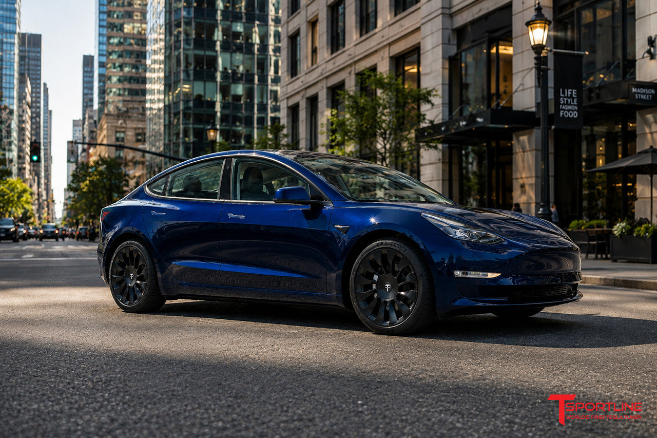 TSV 19" Tesla Model 3 Wheel and Tire Package (Set of 4)