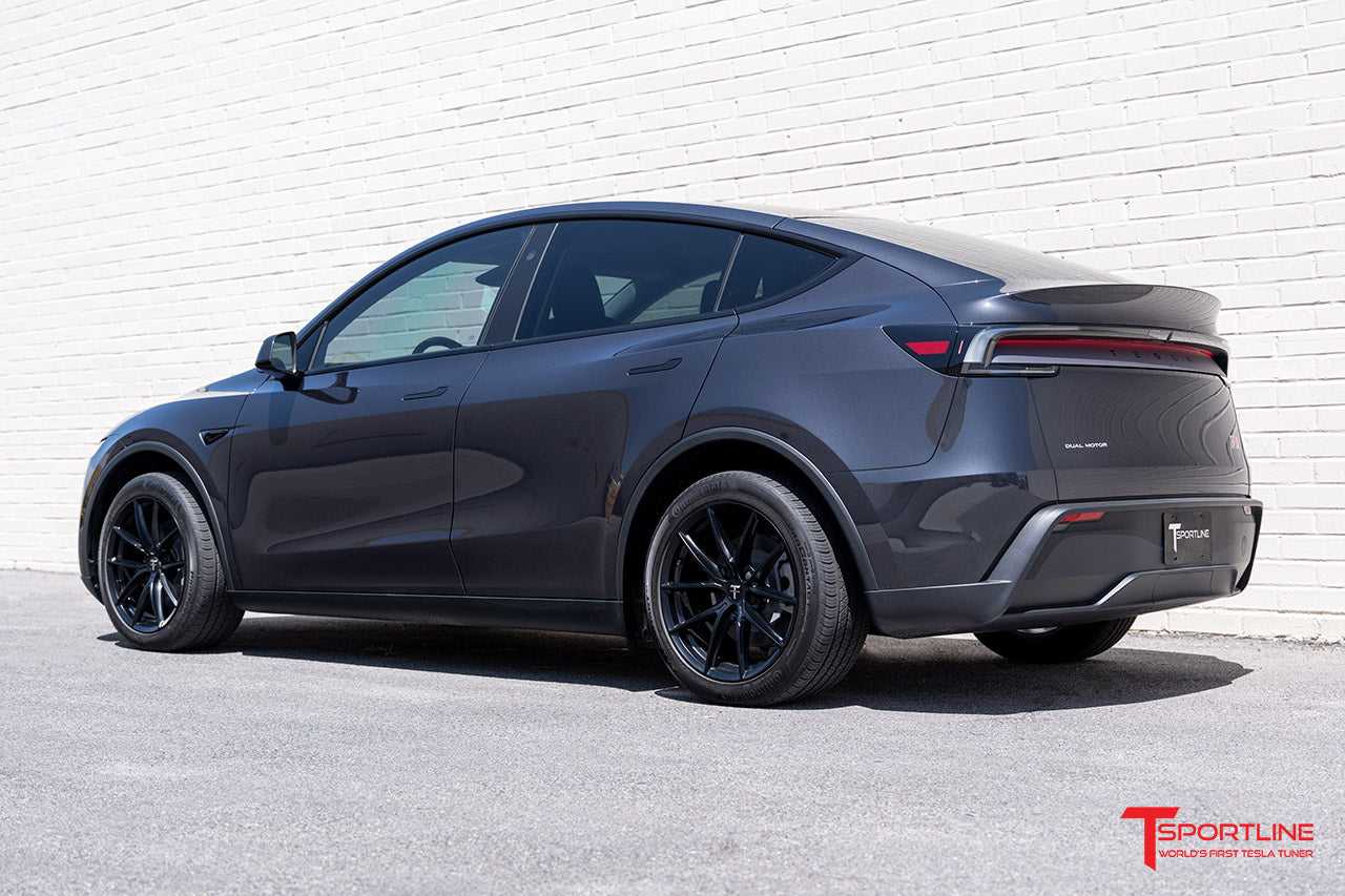 TSF 19" Tesla Model Y Wheel and Winter Tire Package (Set of 4)