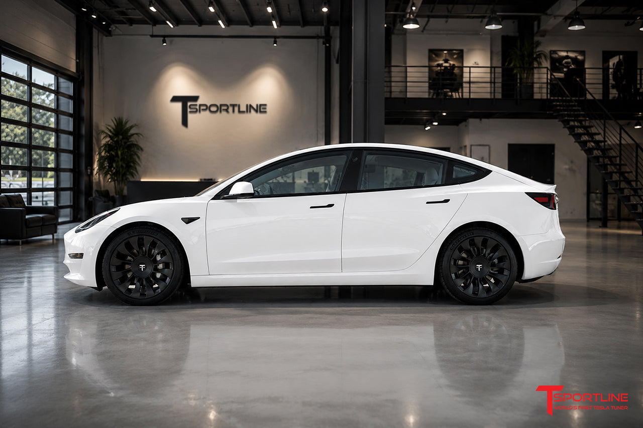 TSV 19" Tesla Model 3 Wheel and Tire Package (Set of 4)