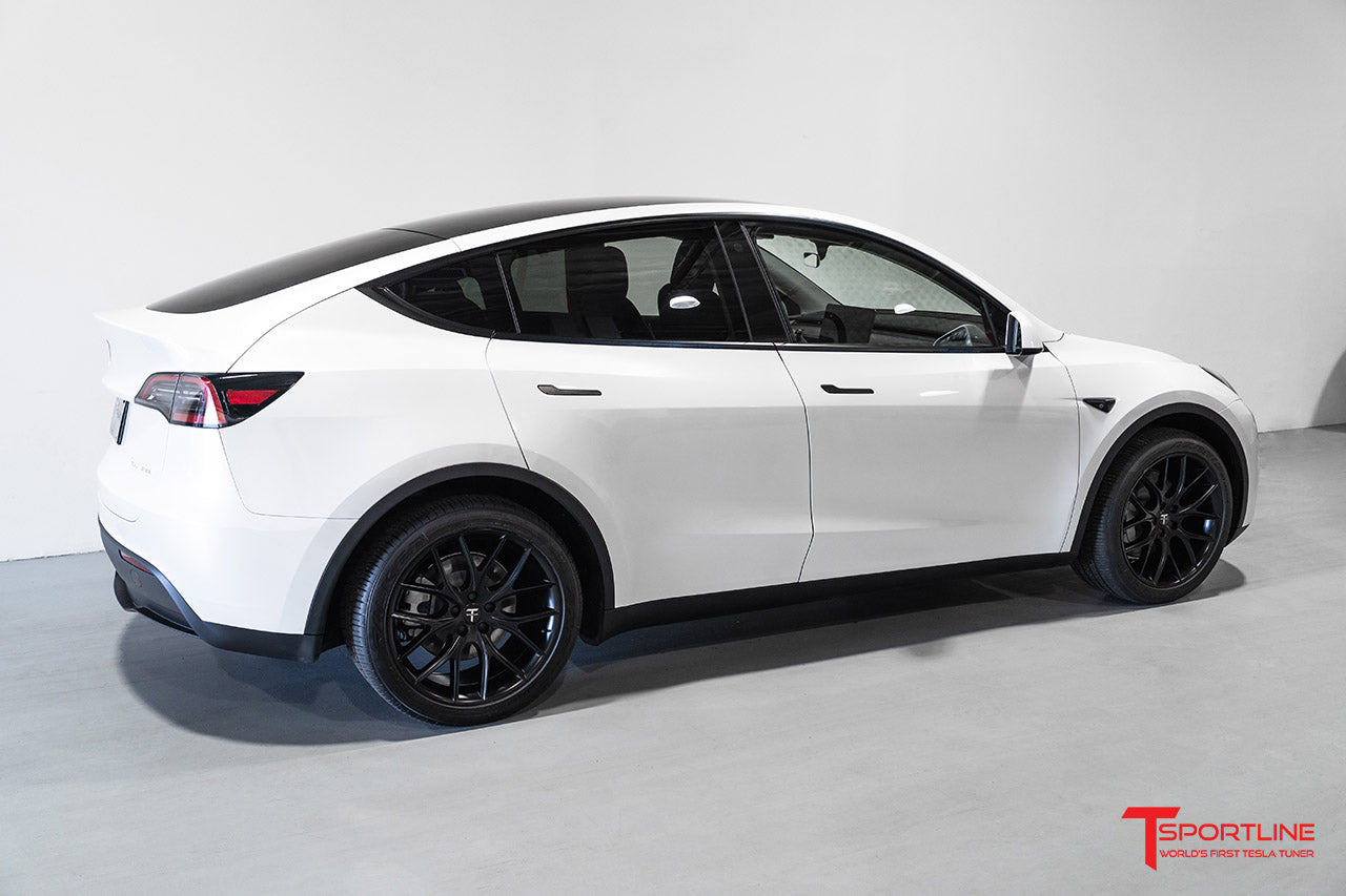 TSR 20" Tesla Model Y Wheel and Winter Tire Package (Set of 4)