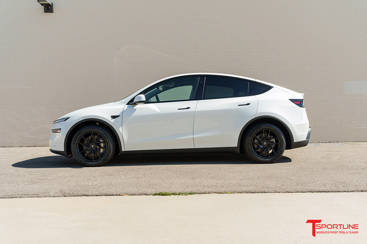 TSH Directional 18" Tesla Model Y Wheel and Winter Tire Package (Set of 4)