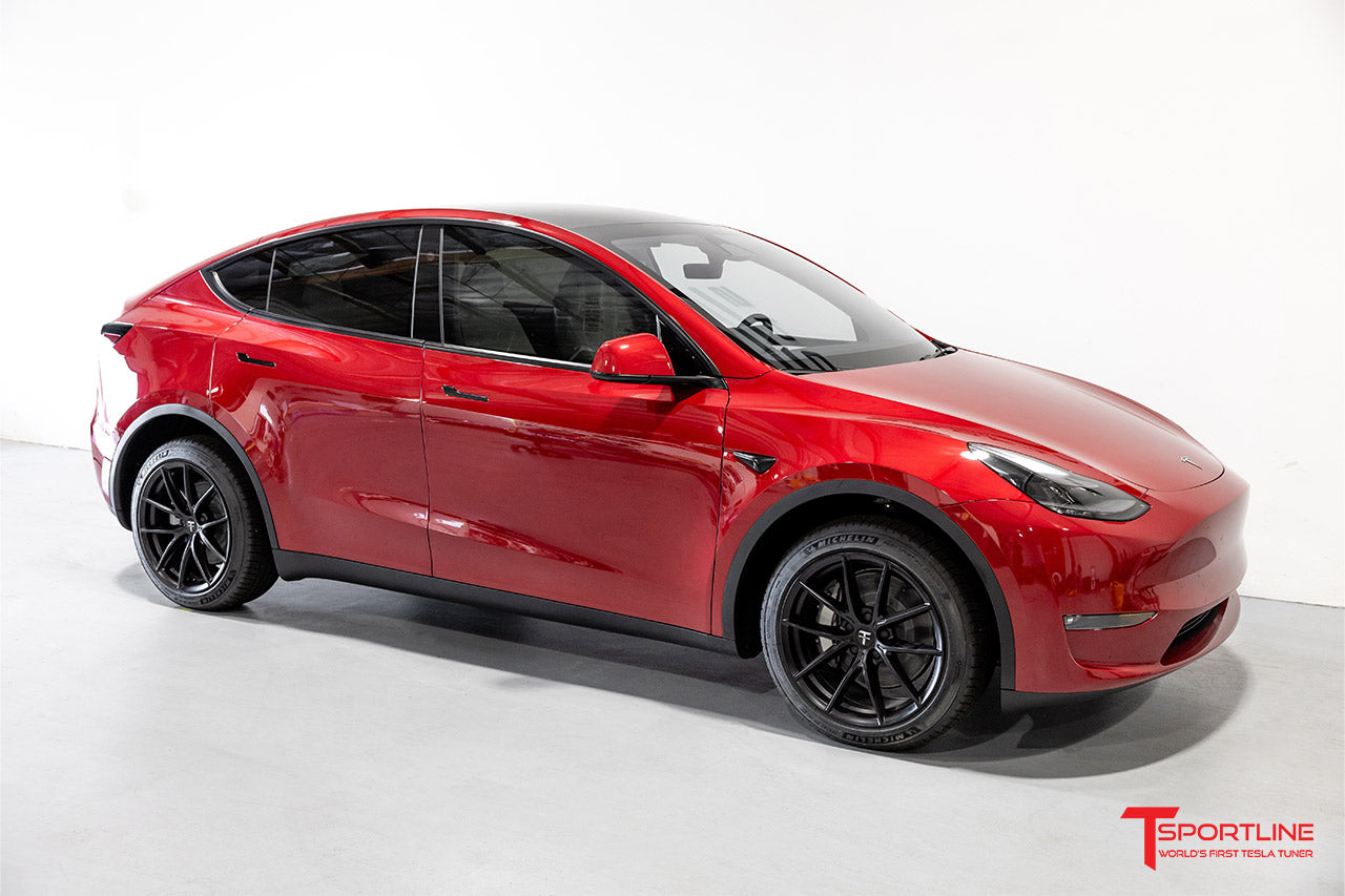TSF 19" Tesla Model Y Wheel and Winter Tire Package (Set of 4)