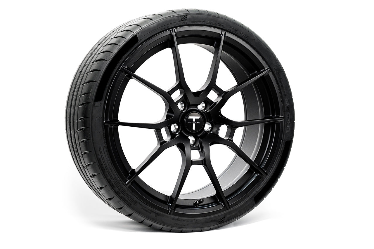 TSK 20" Tesla Model 3 Wheel and Winter Tire Package (Set of 4)