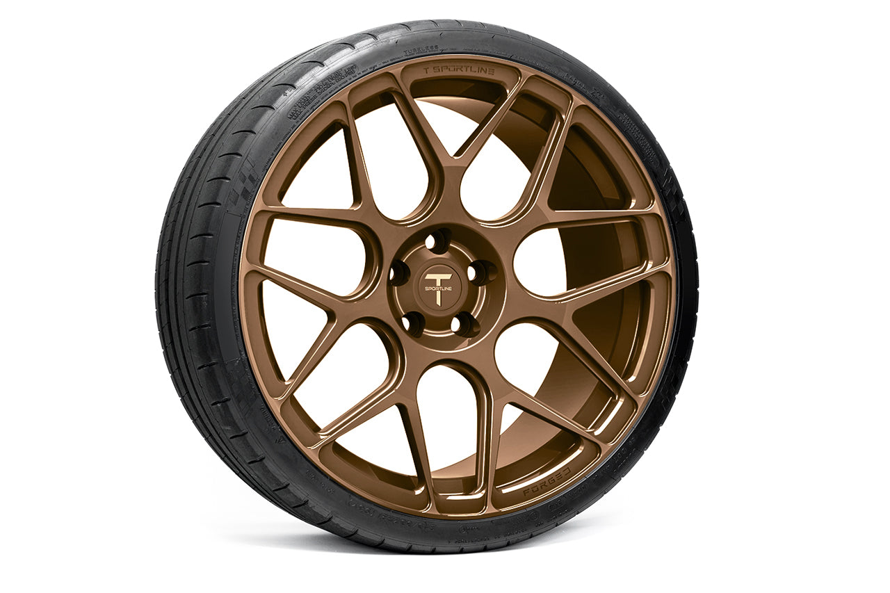 TS117 21" Tesla Model S Long Range & Plaid Wheel and Tire Package (Set of 4)