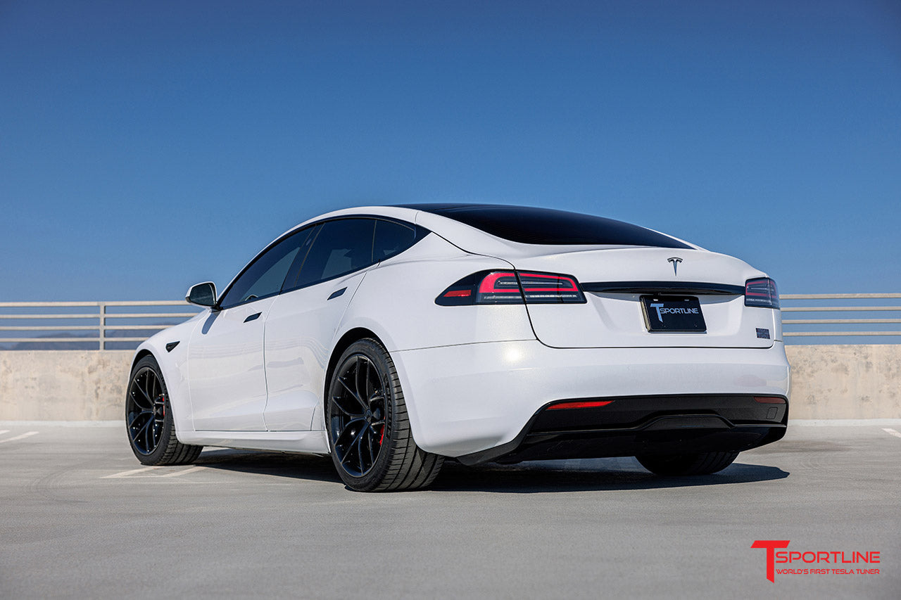 Tesla Model S Xpel Paint Protection Film (PPF) Professional Installation