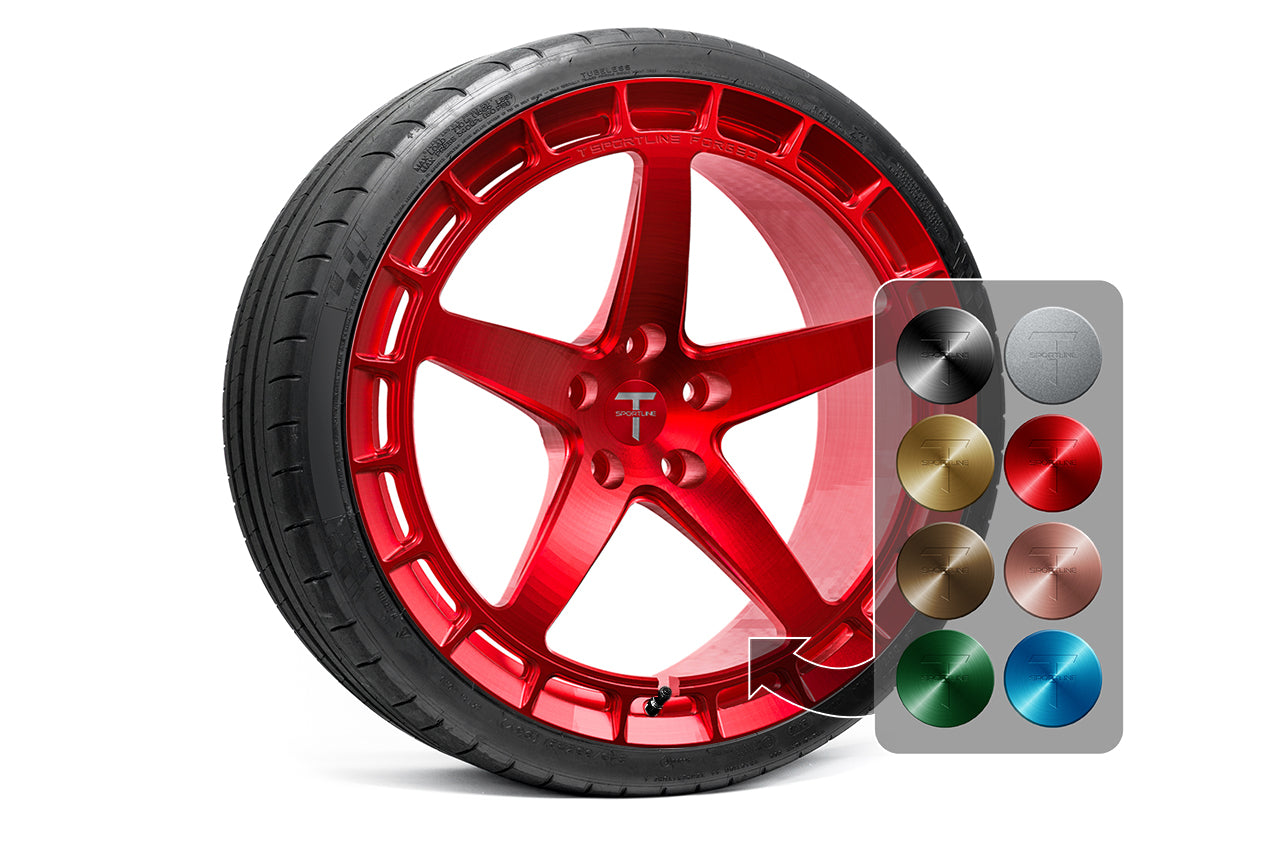 TSW150A 21" Tesla Model S Plaid & Long Range Fully Forged Lightweight Tesla Wheel and Tire Package (Set of 4)