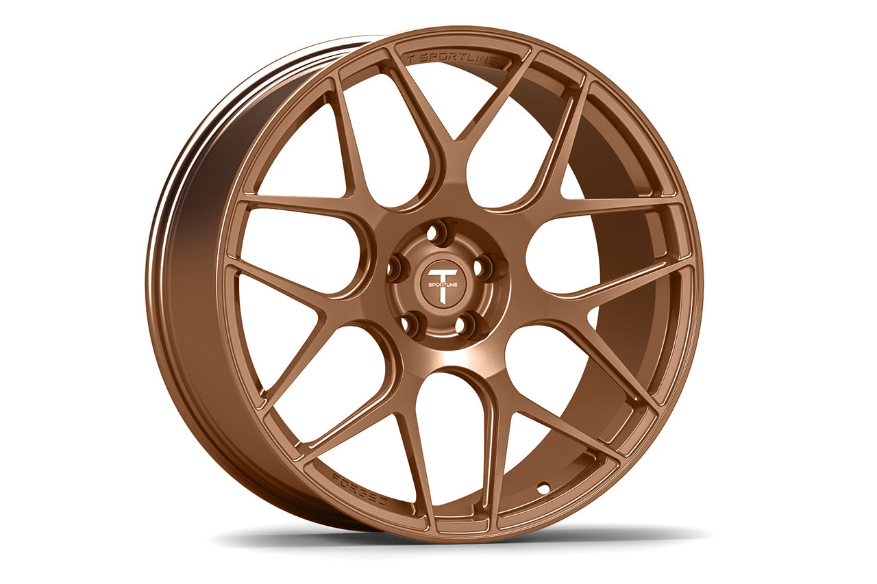 TXL117 22" Tesla Model X Wheel and Tire Package (Set of 4)