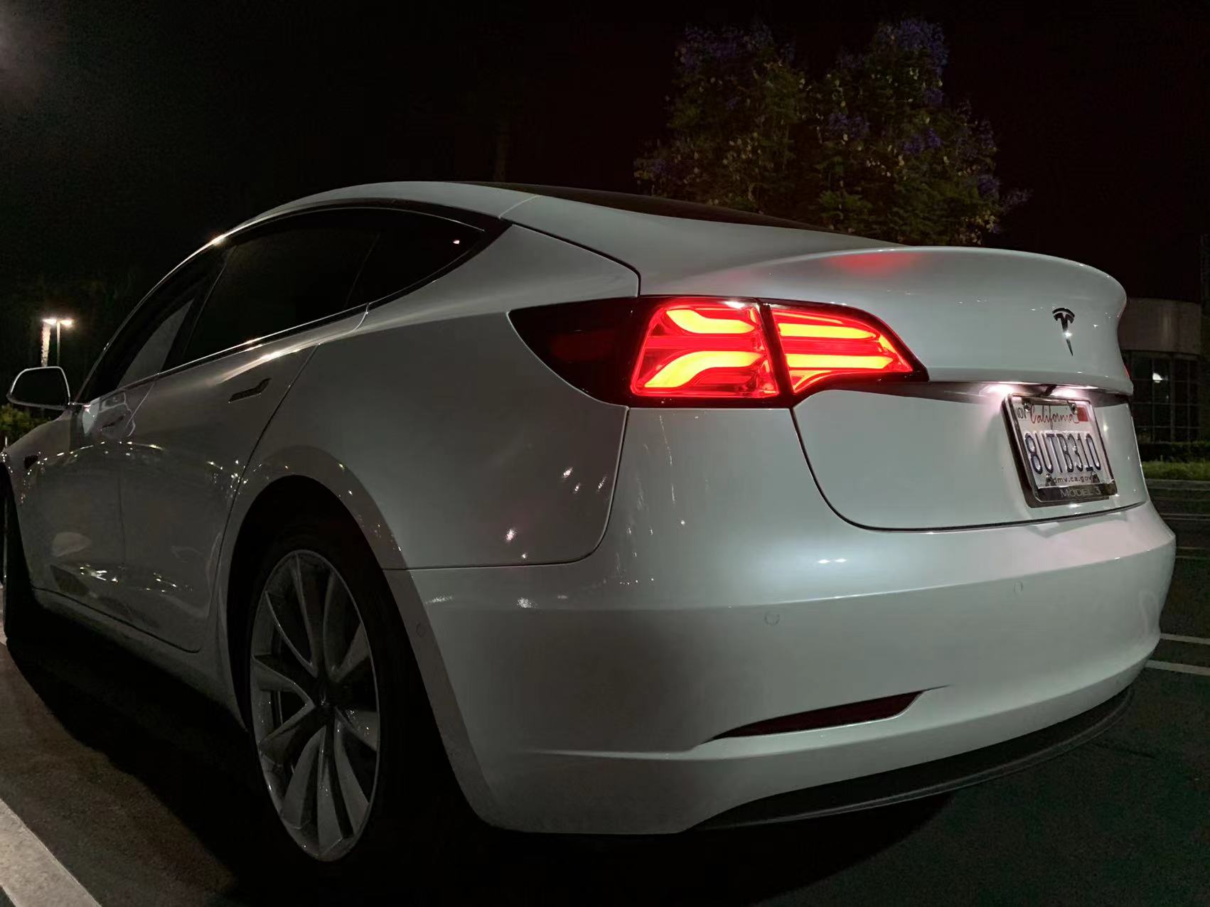 Alpharex PRO-Series LED Tesla Tail Lights for 2017-2023 Model 3 / 2020-2024 Model Y