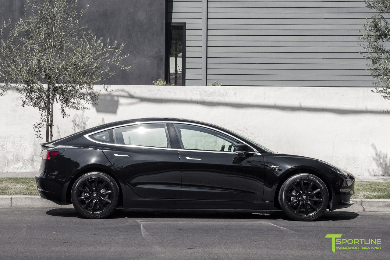 TST 18" Tesla Model 3 Wheel and Tire Package (Set of 4)