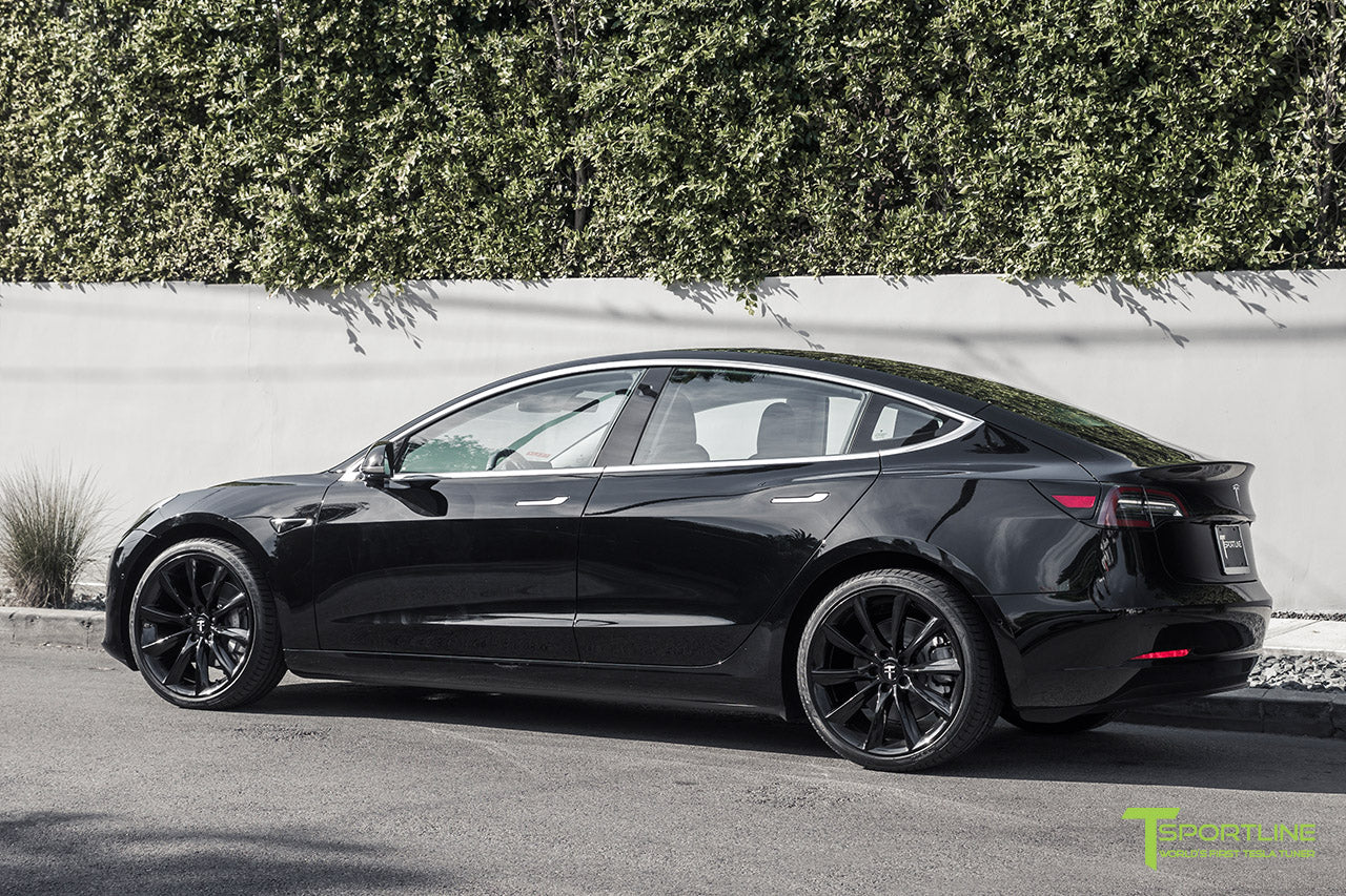 TST 20" Tesla Model 3 Wheel and Tire Package (Set of 4)