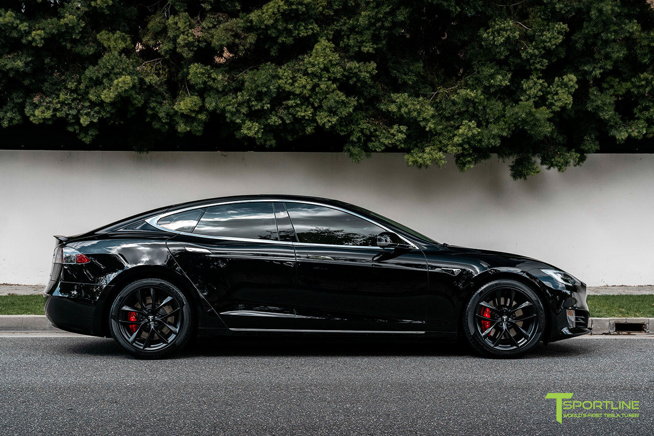 TSS 19" Tesla Model S Replacement Wheel and Tire