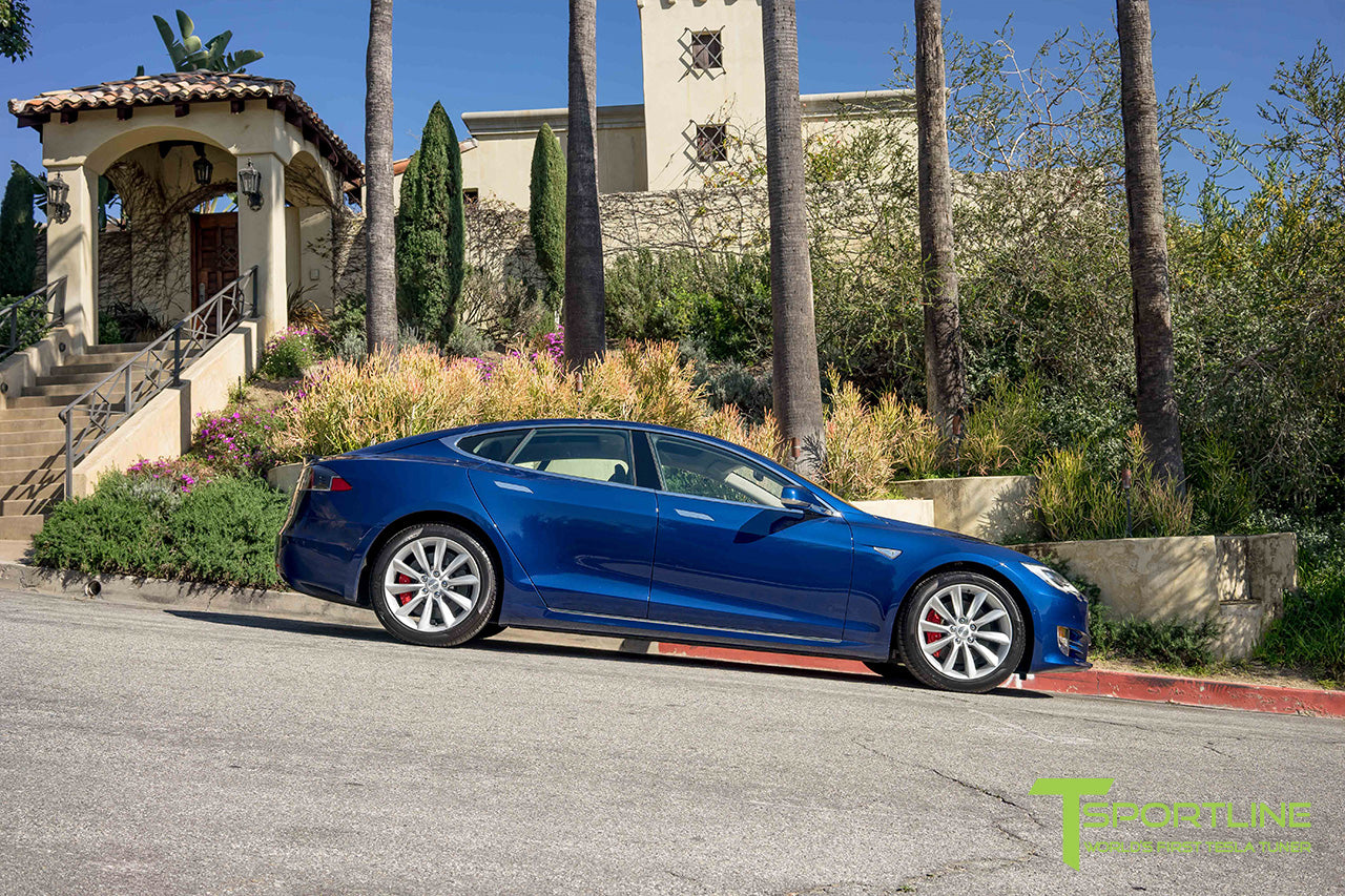 TST 19" Tesla Model S Wheel and Tire Package (Set of 4)