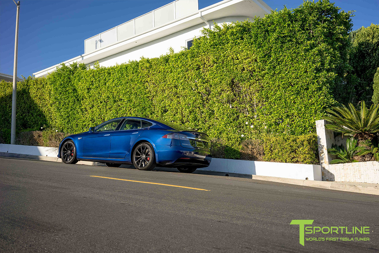 TST 19" Tesla Model S Wheel and Tire Package (Set of 4)