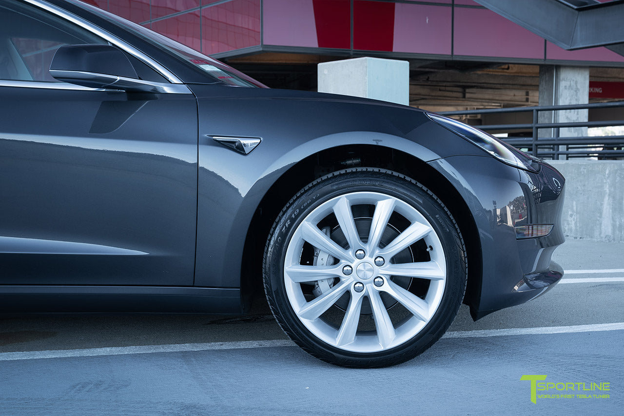 TST 19" Tesla Model 3 Wheel and Winter Tire Package (Set of 4)