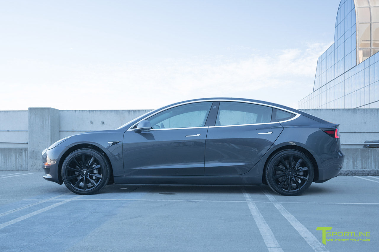 TST 19" Tesla Model 3 Wheel and Winter Tire Package (Set of 4)