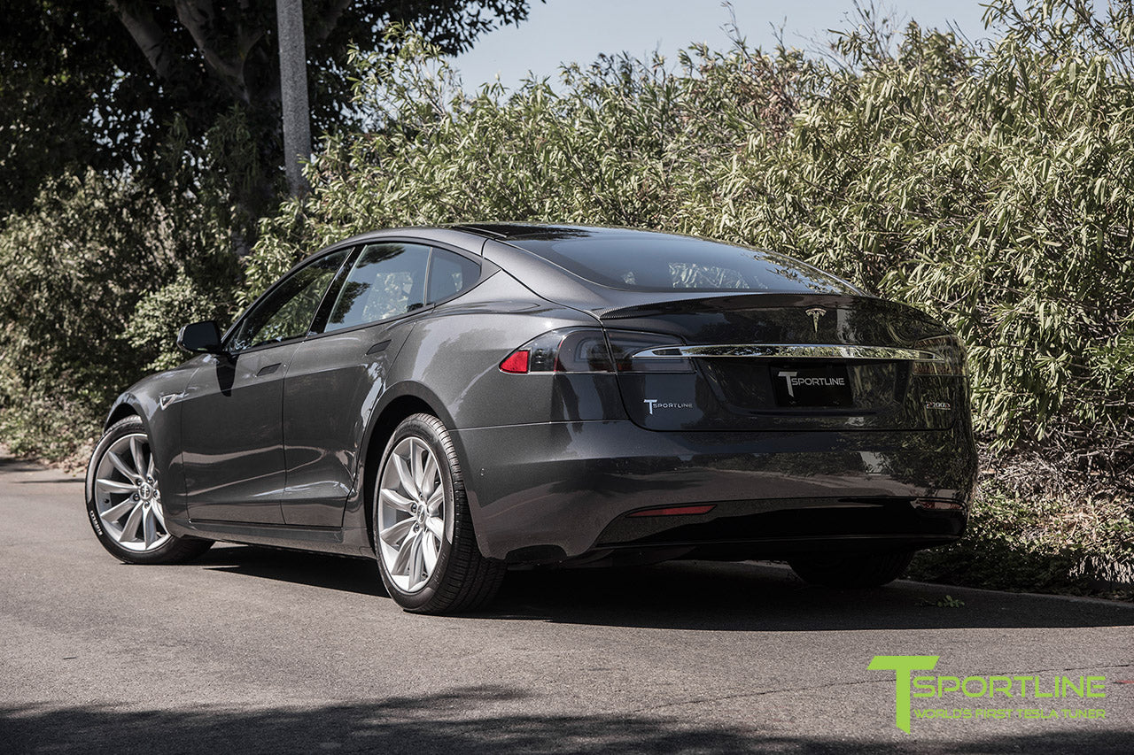 TST 19" Tesla Model S Wheel and Tire Package (Set of 4)