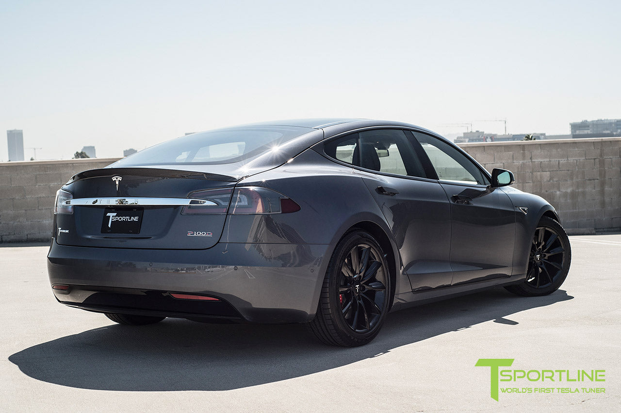 TST 19" Tesla Model S Wheel and Tire Package (Set of 4)