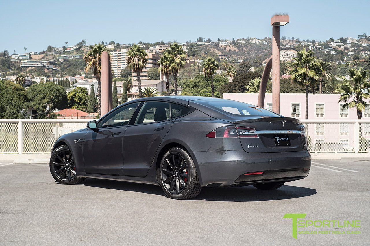 TST 19" Tesla Model S Wheel and Tire Package (Set of 4)