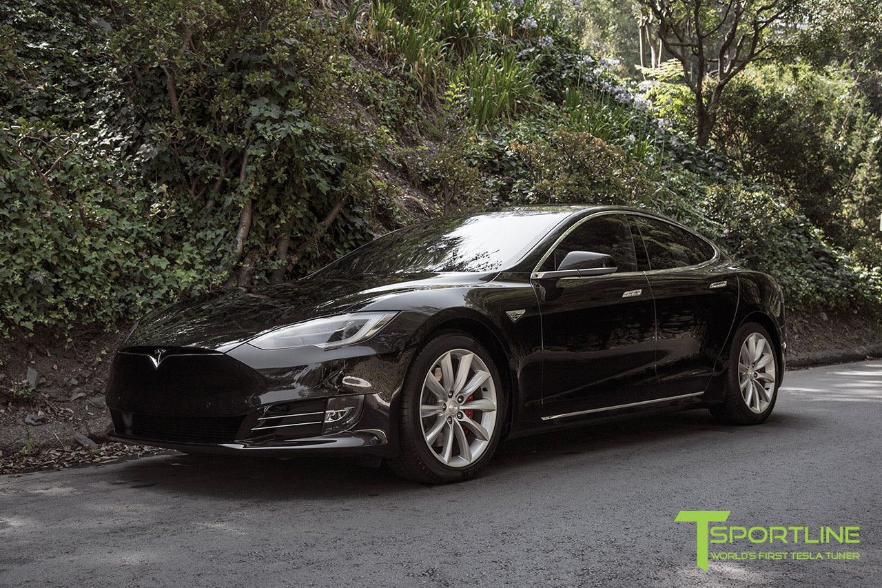 TST 19" Tesla Model S Wheel and Winter Tire Package (Set of 4)