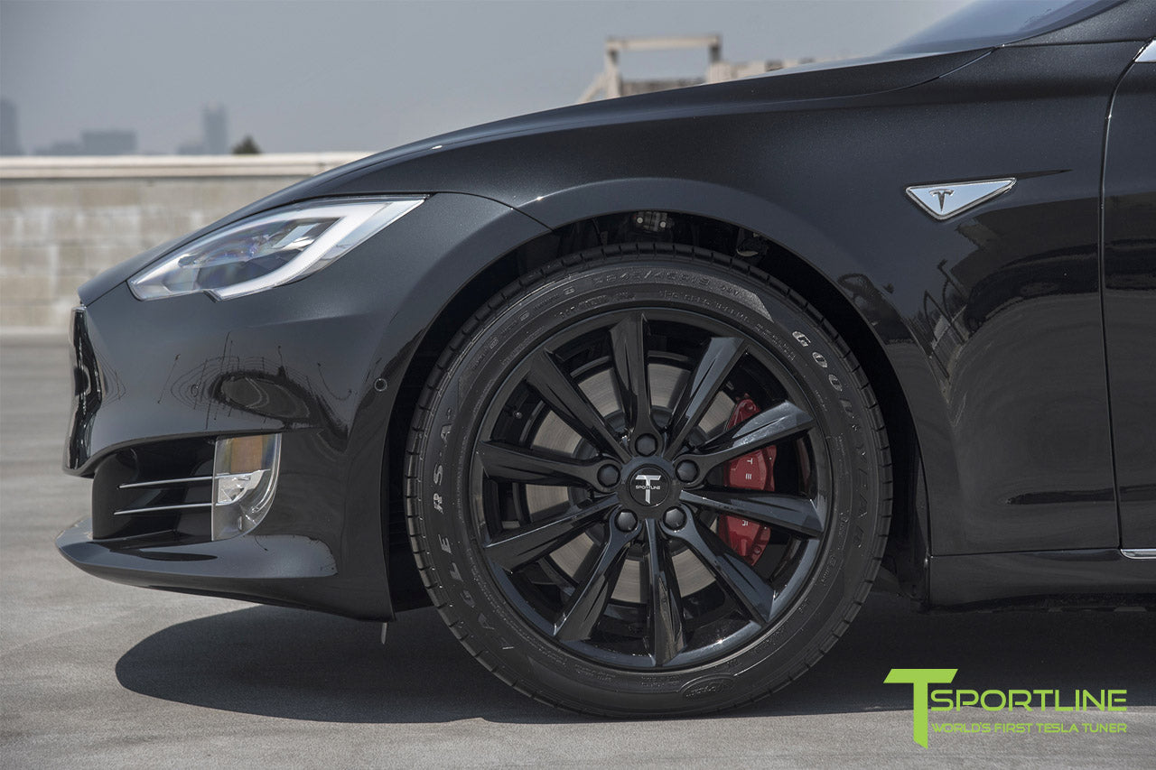 TST 19" Tesla Model S Wheel and Winter Tire Package (Set of 4)