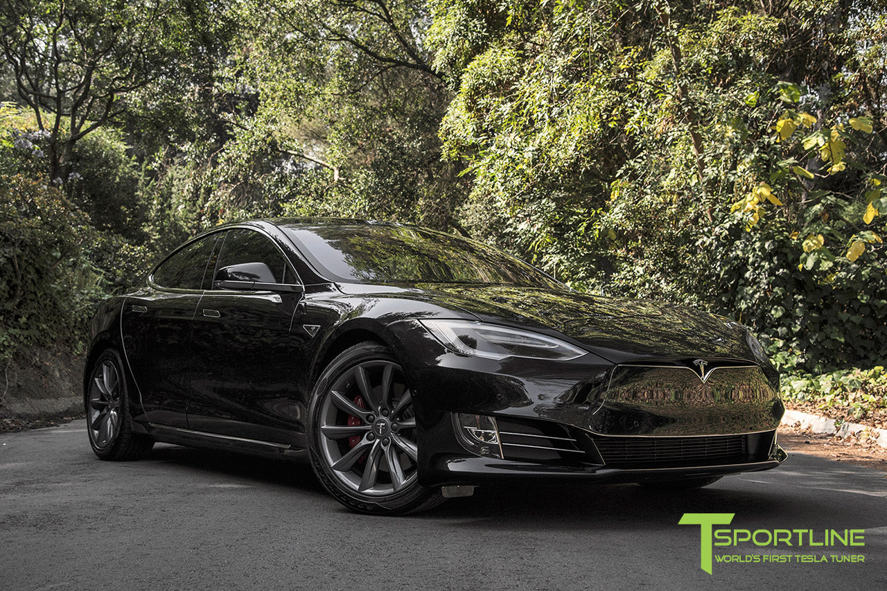 TST 19" Tesla Model S Wheel and Tire Package (Set of 4)