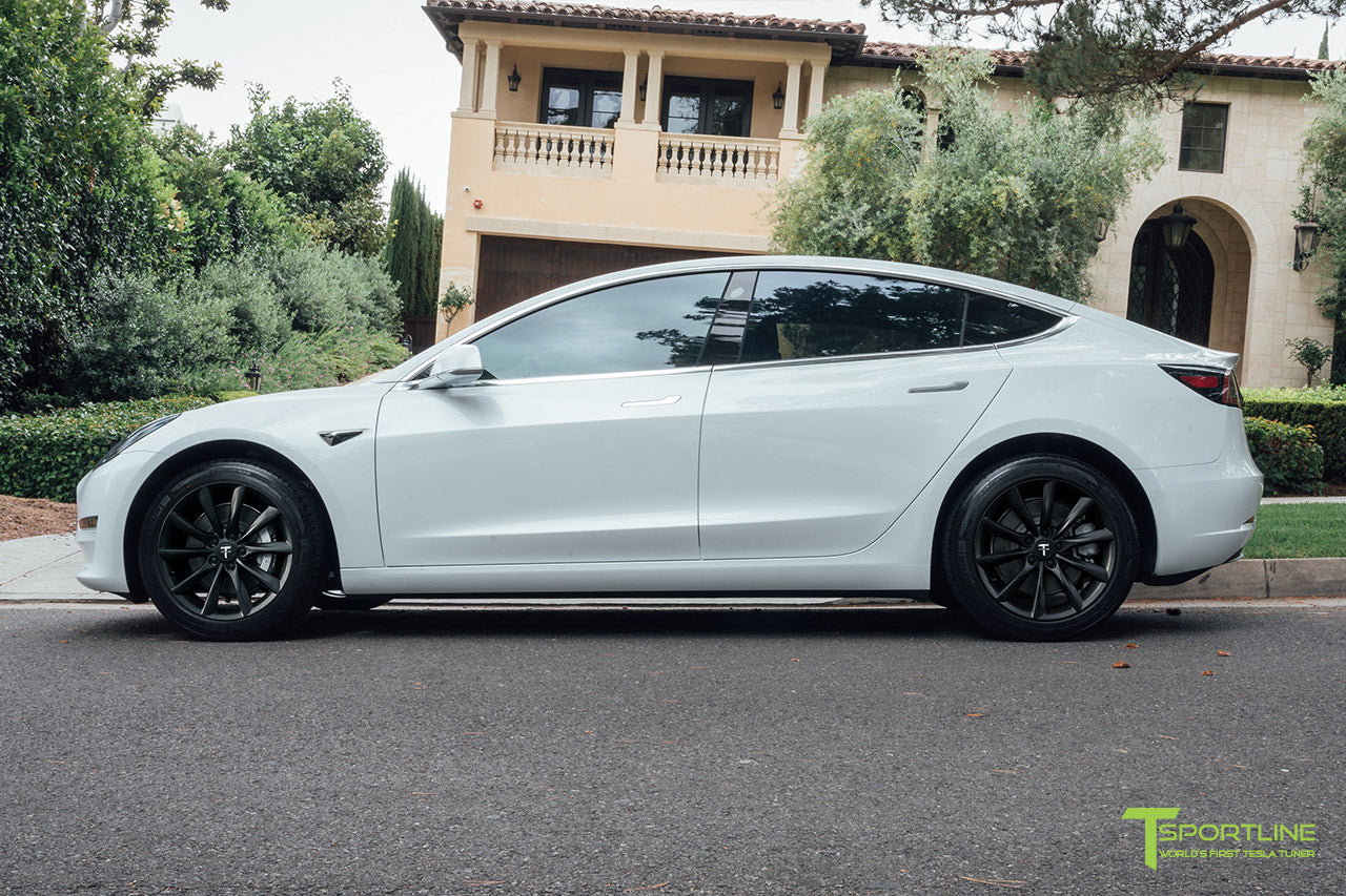 TST 18" Tesla Model 3 Wheel and Tire Package (Set of 4)