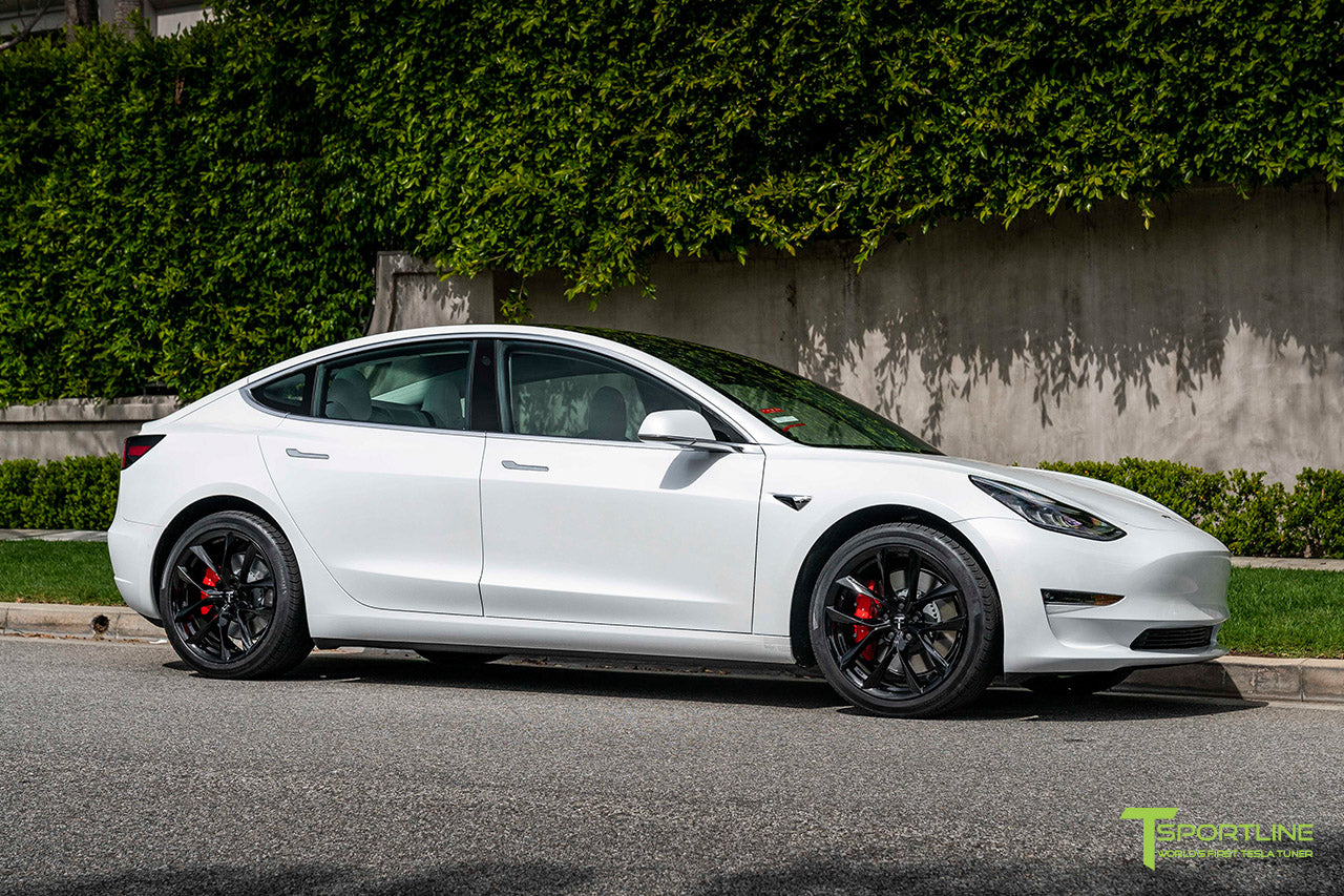 TSS 19" Tesla Model 3 Wheel and Tire Package (Set of 4)