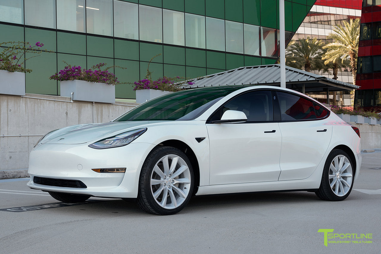 TST 19" Tesla Model 3 Wheel and Winter Tire Package (Set of 4)