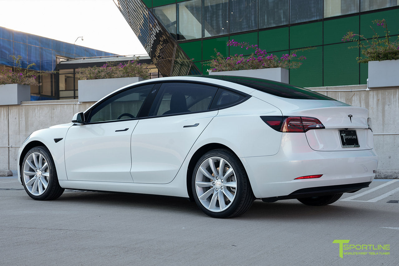 TST 19" Tesla Model 3 Wheel and Winter Tire Package (Set of 4)