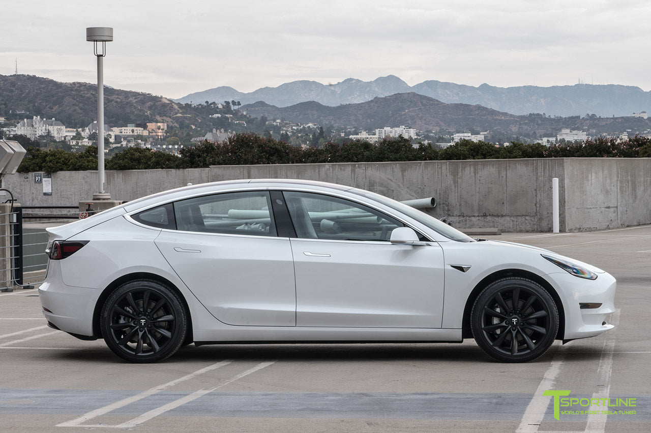 TST 19" Tesla Model 3 Wheel and Tire Package (Set of 4)