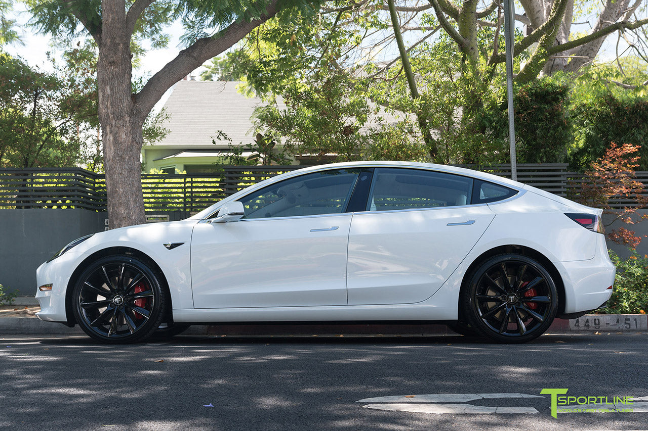 TST 20" Tesla Model 3 Wheel and Tire Package (Set of 4)