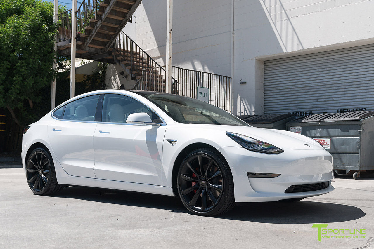 TST 20" Tesla Model 3 Wheel and Tire Package (Set of 4)