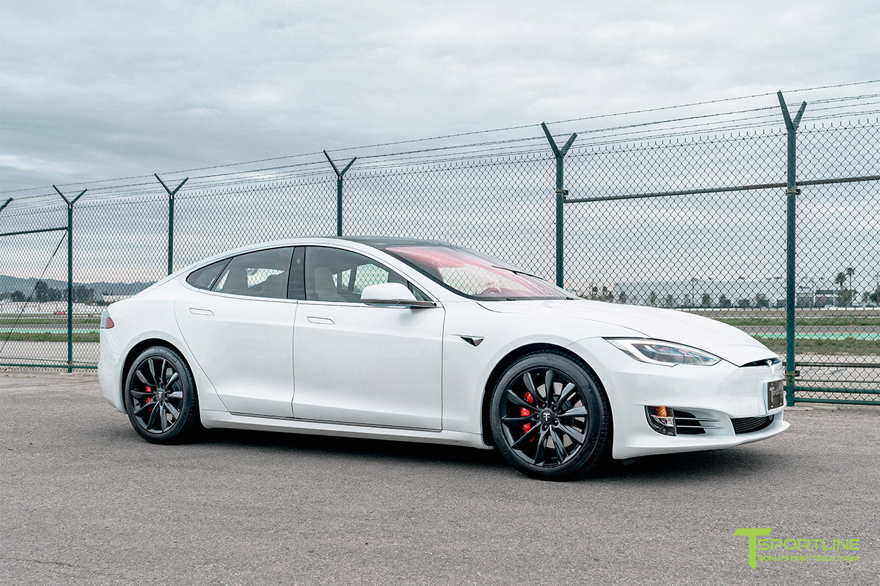 TST 19" Tesla Model S Wheel and Tire Package (Set of 4)