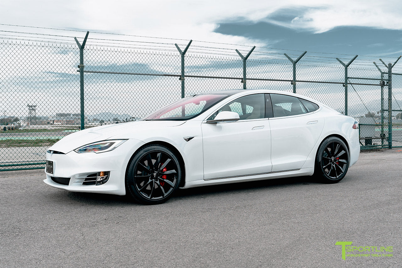 TST 20" Tesla Model S Wheel and Tire Package (Set of 4)