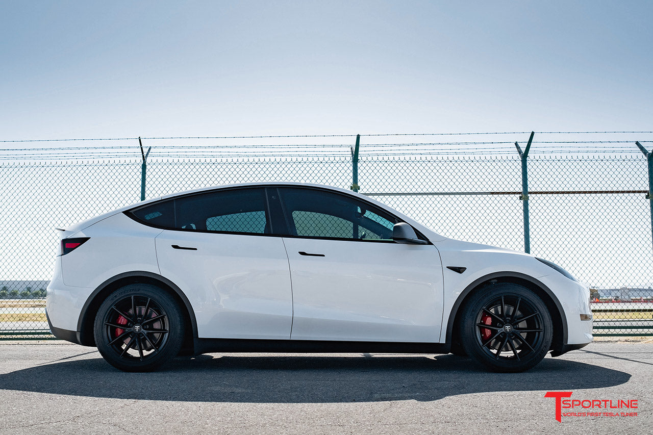 TSF 19" Tesla Model Y Wheel and Winter Tire Package (Set of 4)
