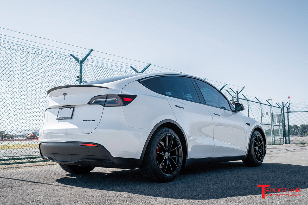 TSF 19" Tesla Model Y Wheel and Winter Tire Package (Set of 4)