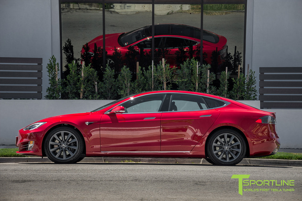 TST 19" Tesla Model S Wheel and Tire Package (Set of 4)