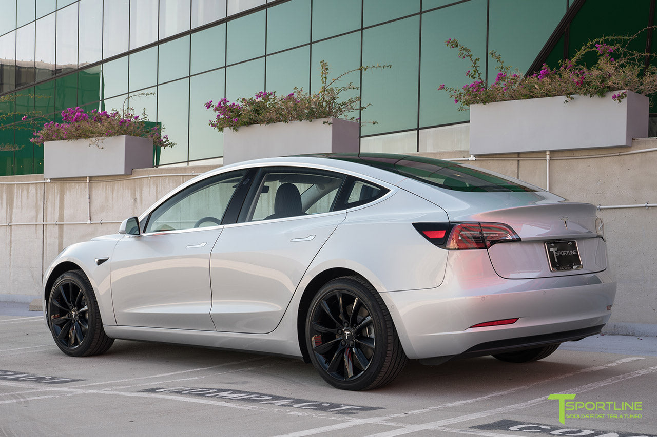 TST 19" Tesla Model 3 Wheel and Winter Tire Package (Set of 4)