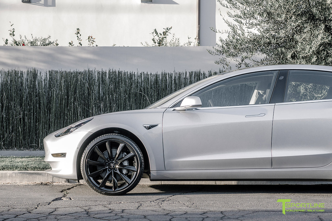 TST 20" Tesla Model 3 Wheel and Tire Package (Set of 4)