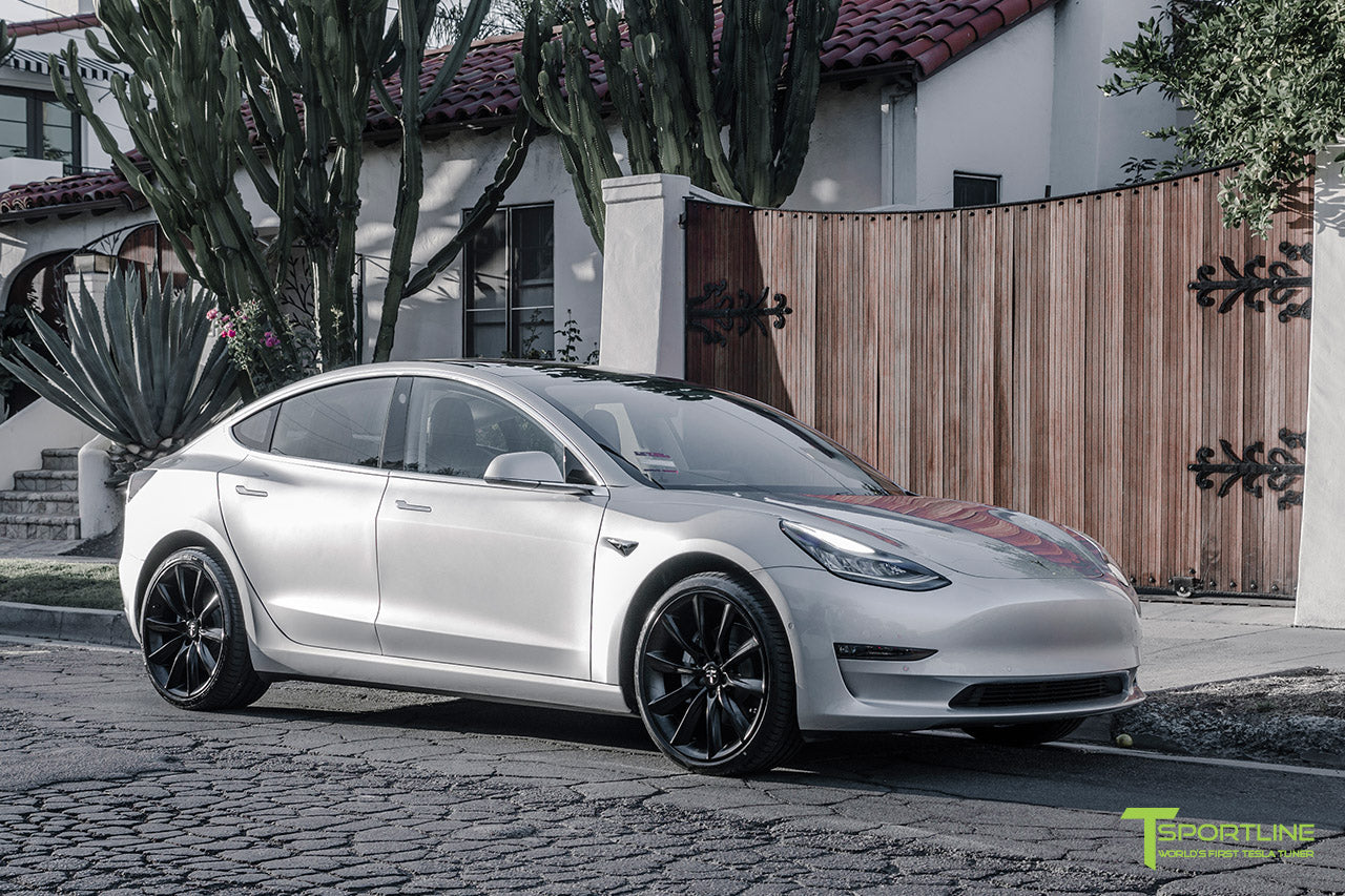 TST 20" Tesla Model 3 Wheel and Tire Package (Set of 4)
