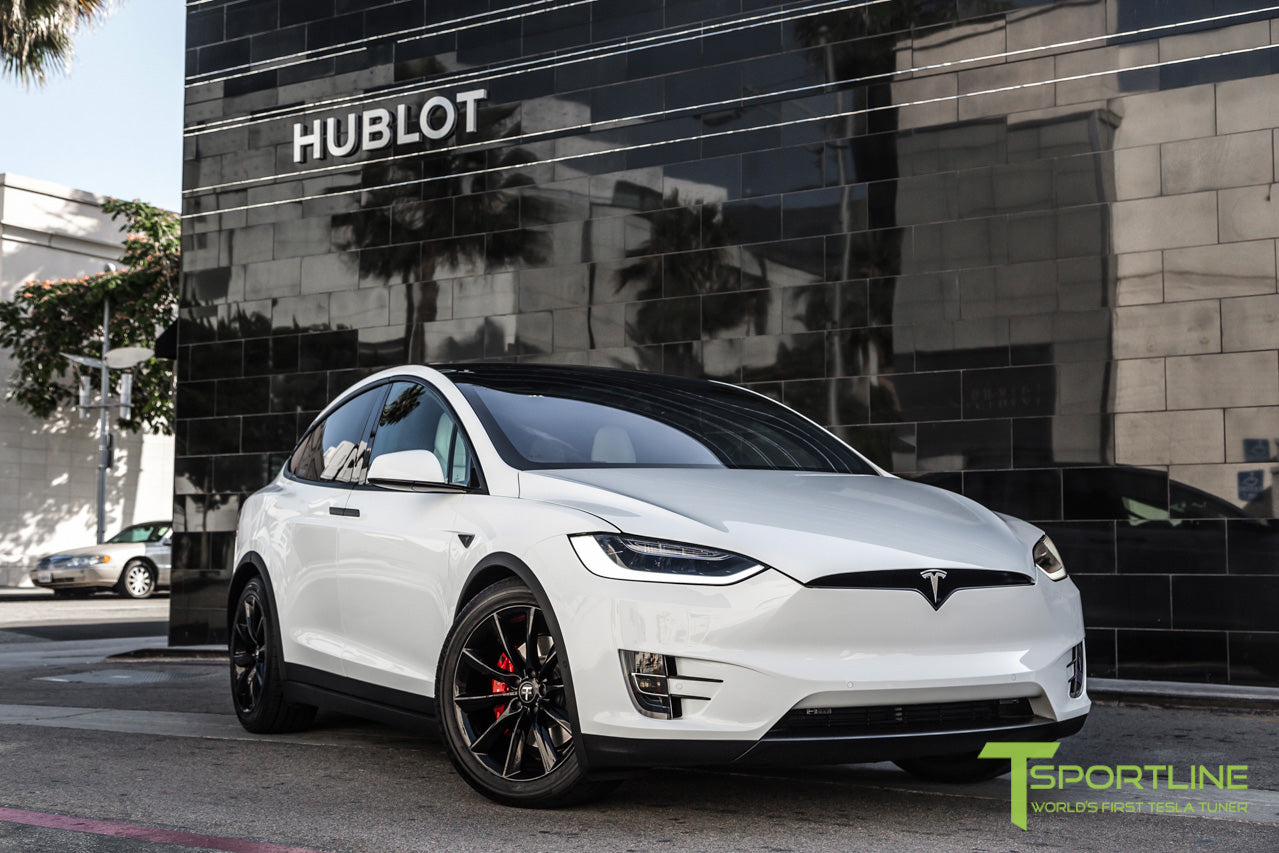 TST 20" Tesla Model X Wheel and Winter Tire Package (Set of 4)