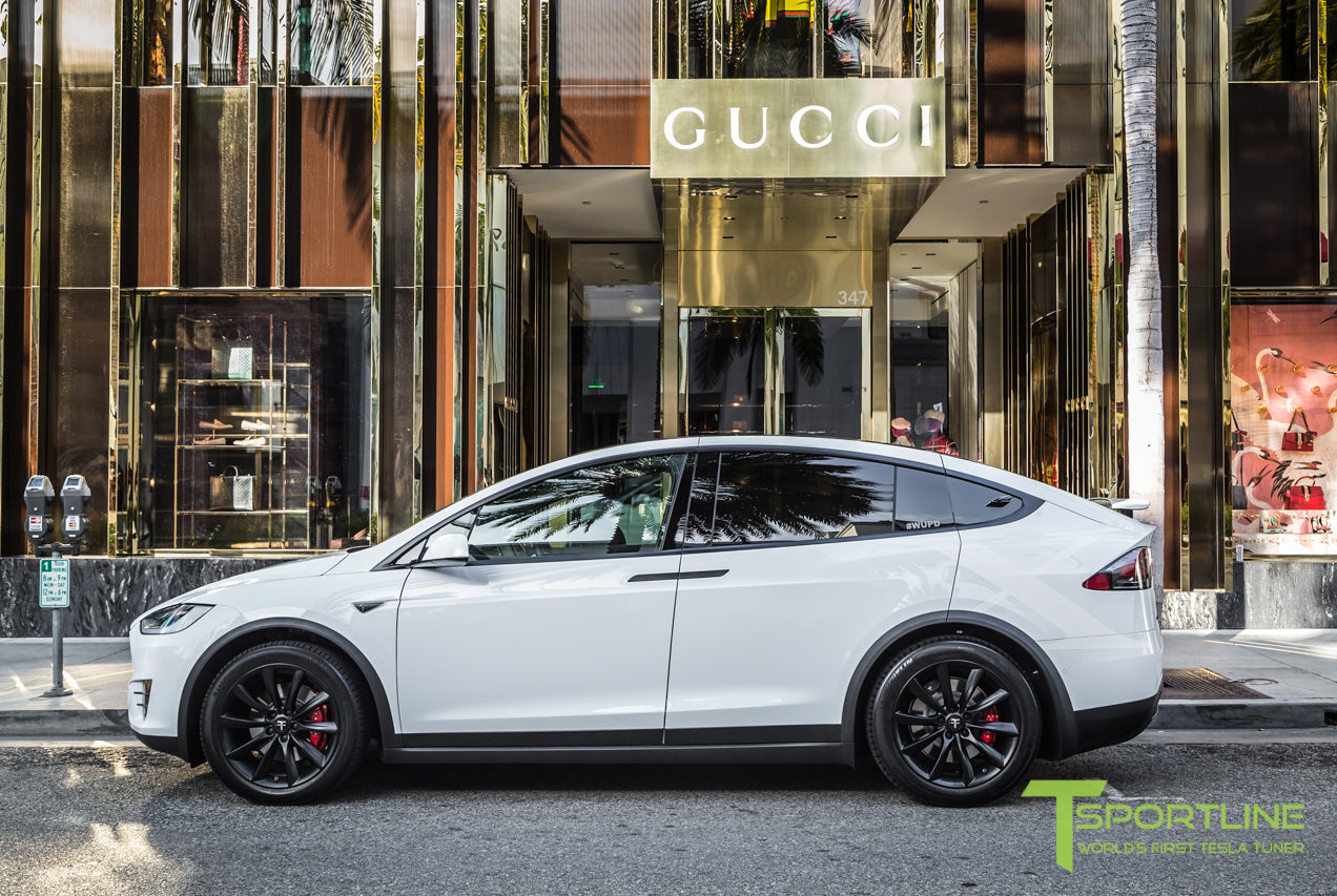 TST 20" Tesla Model X Wheel and Winter Tire Package (Set of 4)