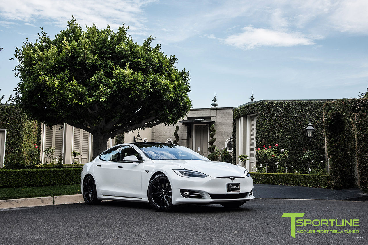TST 19" Tesla Model S Wheel and Tire Package (Set of 4)