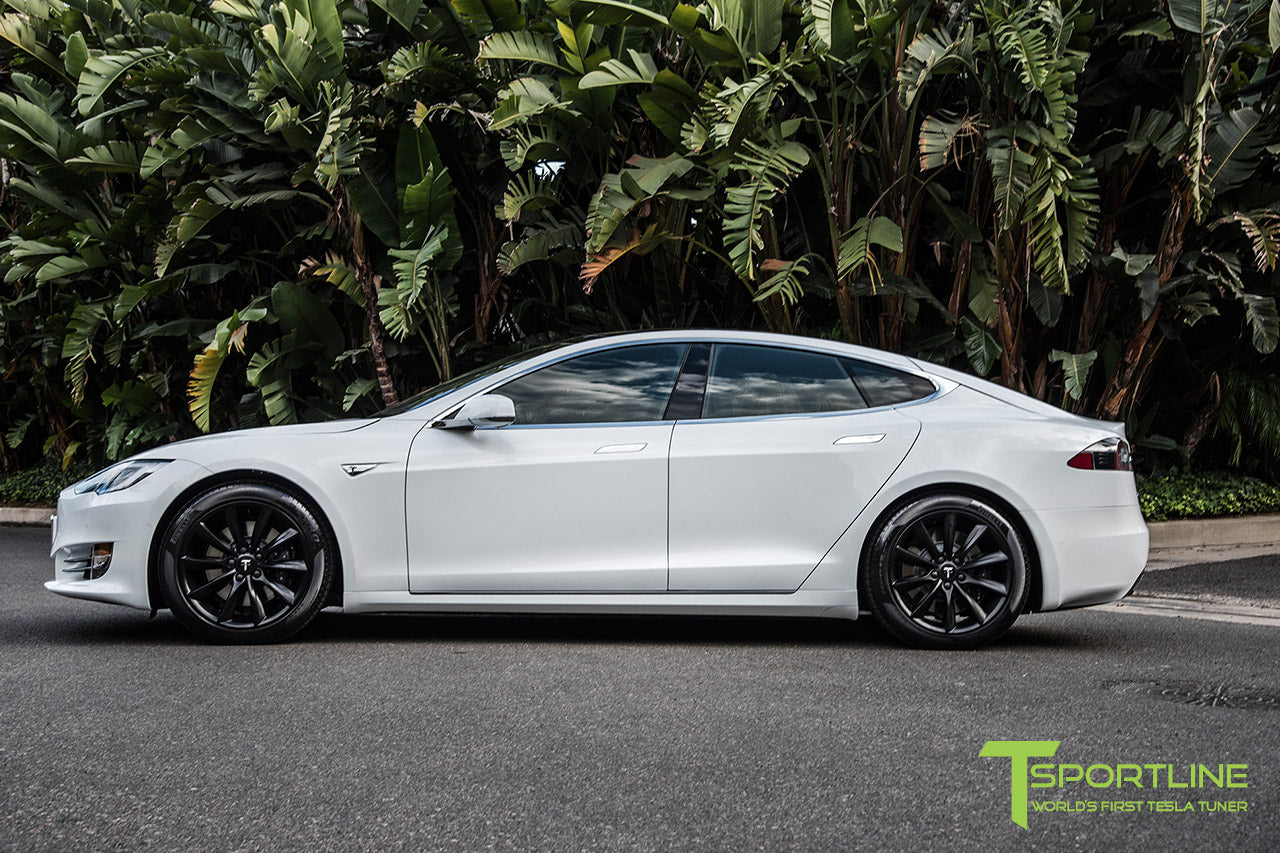 TST 19" Tesla Model S Wheel and Tire Package (Set of 4)