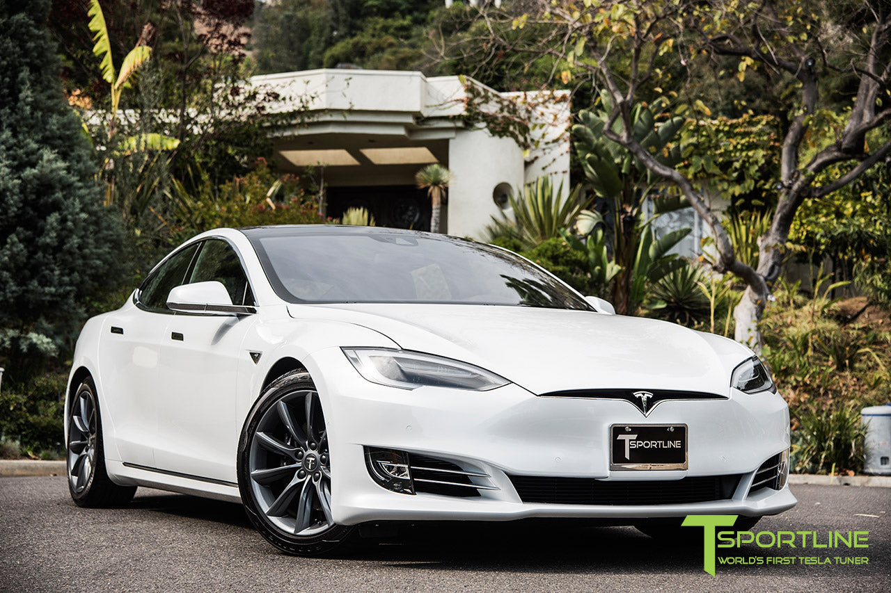 TST 19" Tesla Model S Wheel and Tire Package (Set of 4)